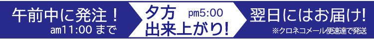 午前中受付で当日発送いたします